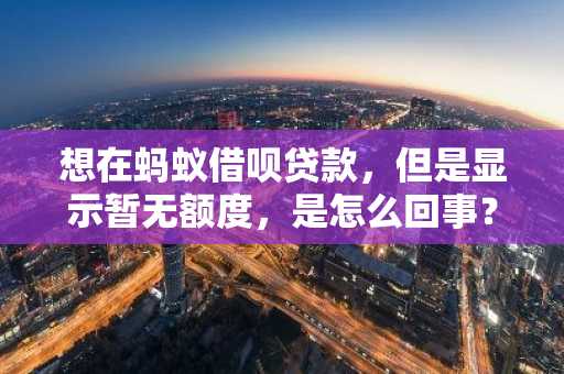 想在蚂蚁借呗贷款，但是显示暂无额度，是怎么回事？