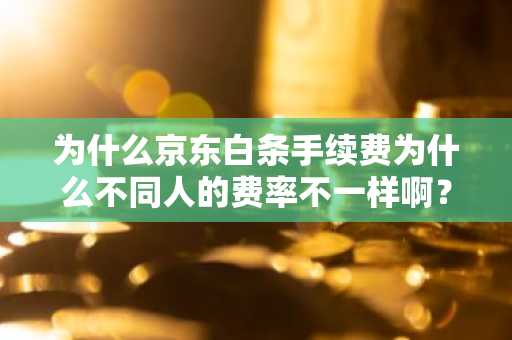 为什么京东白条手续费为什么不同人的费率不一样啊？