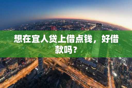 想在宜人贷上借点钱，好借款吗？