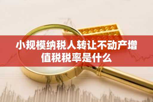 小规模纳税人转让不动产增值税税率是什么