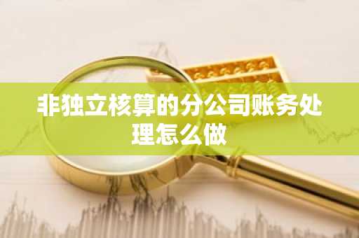非独立核算的分公司账务处理怎么做