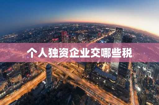 个人独资企业交哪些税