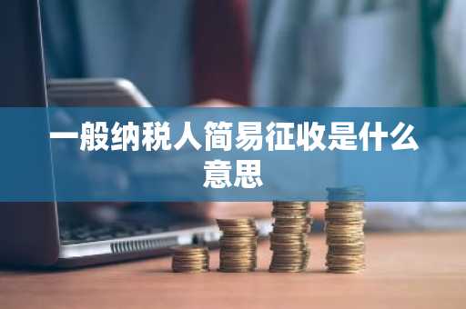 一般纳税人简易征收是什么意思