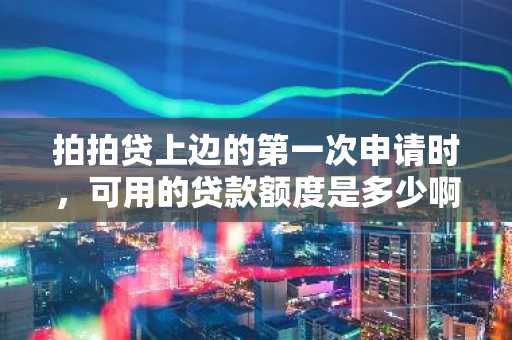 拍拍贷上边的第一次申请时，可用的贷款额度是多少啊？