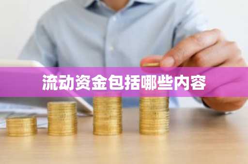 流动资金包括哪些内容