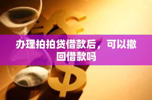 办理拍拍贷借款后，可以撤回借款吗