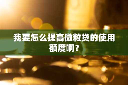 我要怎么提高微粒贷的使用额度啊？