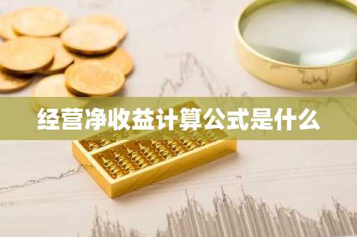 经营净收益计算公式是什么