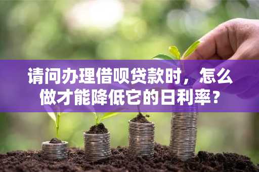 请问办理借呗贷款时，怎么做才能降低它的日利率？
