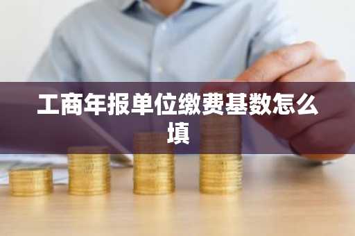 工商年报单位缴费基数怎么填