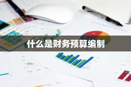 什么是财务预算编制