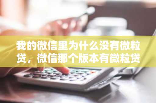 我的微信里为什么没有微粒贷，微信那个版本有微粒贷?