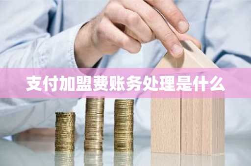 支付加盟费账务处理是什么