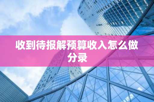 收到待报解预算收入怎么做分录