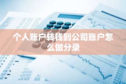 个人账户转钱到公司账户怎么做分录