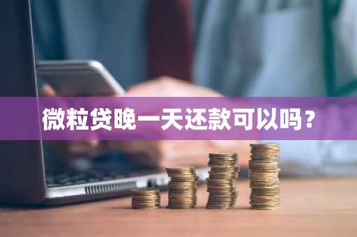 微粒贷晚一天还款可以吗？