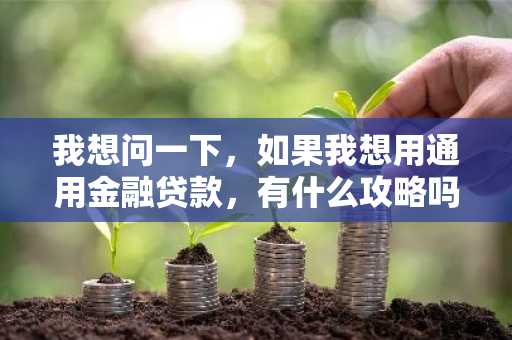 我想问一下，如果我想用通用金融贷款，有什么攻略吗？