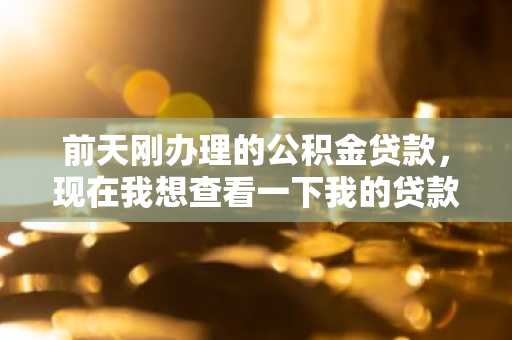 前天刚办理的公积金贷款，现在我想查看一下我的贷款信息，要怎么查啊？