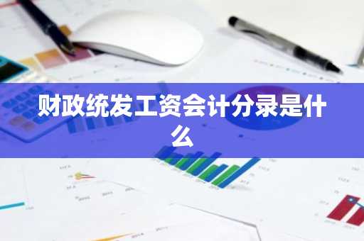 财政统发工资会计分录是什么