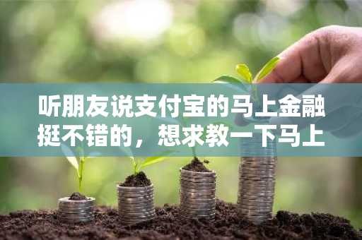 听朋友说支付宝的马上金融挺不错的，想求教一下马上金融靠谱吗？