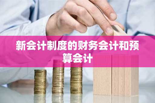 新会计制度的财务会计和预算会计
