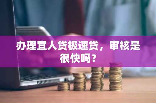办理宜人贷极速贷，审核是很快吗？