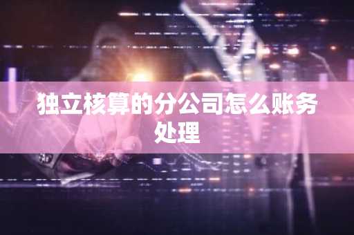 独立核算的分公司怎么账务处理