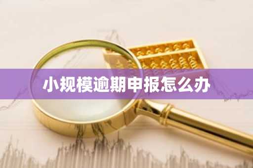 小规模逾期申报怎么办