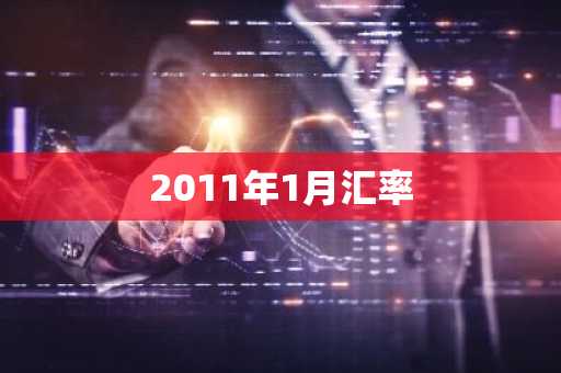 2011年1月汇率