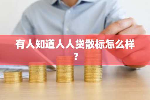有人知道人人贷散标怎么样？