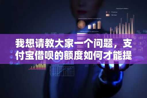 我想请教大家一个问题，支付宝借呗的额度如何才能提升呢？