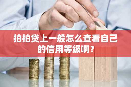 拍拍贷上一般怎么查看自己的信用等级啊？