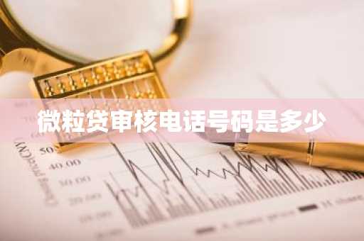 微粒贷审核电话号码是多少