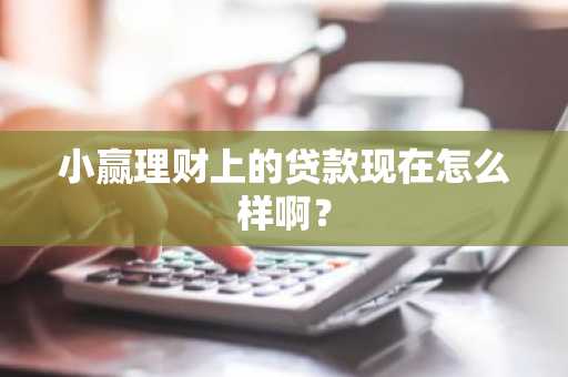 小赢理财上的贷款现在怎么样啊？