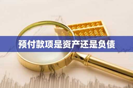 预付款项是资产还是负债