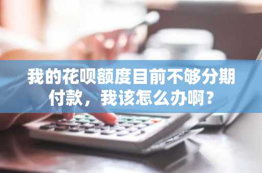 我的花呗额度目前不够分期付款，我该怎么办啊？