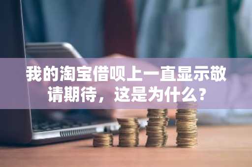 我的淘宝借呗上一直显示敬请期待，这是为什么？