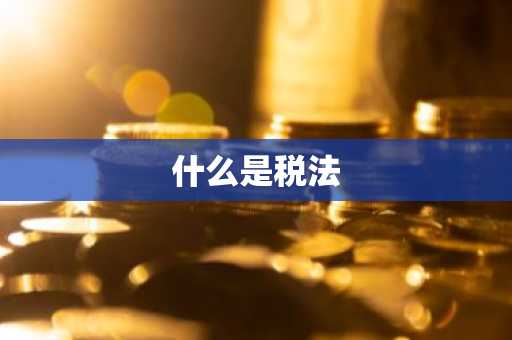 什么是税法