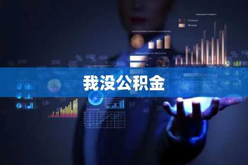 我没公积金