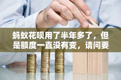 蚂蚁花呗用了半年多了，但是额度一直没有变，请问要怎么做才可以提高花呗的额度？
