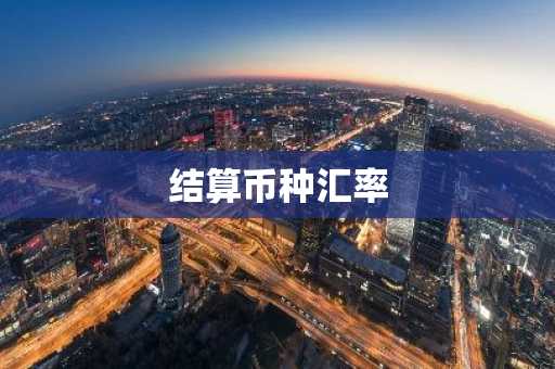 结算币种汇率