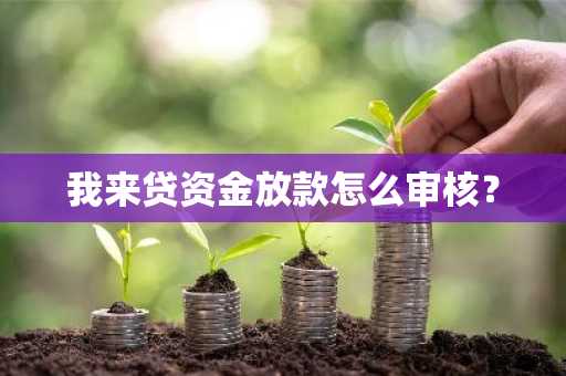 我来贷资金放款怎么审核？