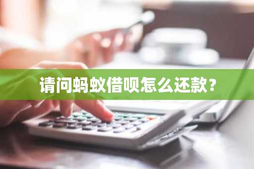 请问蚂蚁借呗怎么还款？