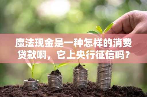 魔法现金是一种怎样的消费贷款啊，它上央行征信吗？