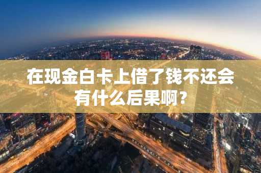 在现金白卡上借了钱不还会有什么后果啊？