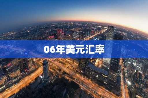 06年美元汇率