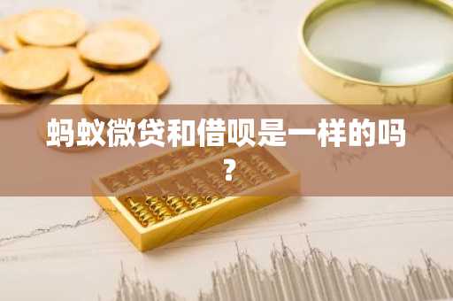 蚂蚁微贷和借呗是一样的吗？