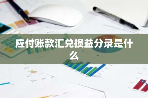 应付账款汇兑损益分录是什么