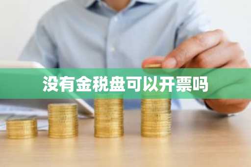 没有金税盘可以开票吗