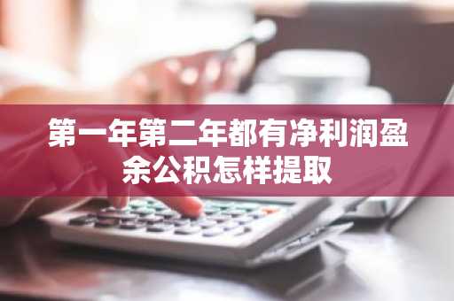 第一年第二年都有净利润盈余公积怎样提取
